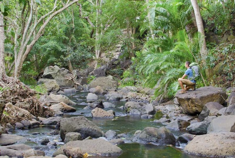 From Iquitos: Pacaya Samiria - 3 Day Amazon Jungle Tour - Final Thoughts