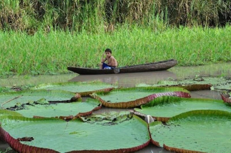 From Iquitos: Sail on the Amazon River |Full Day| - Starting the Day: From Iquitos to the River