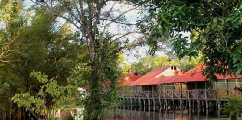 From Iquitos || Tour to the Amazon, Nanay and Momon rivers|| - An In-Depth Look at What You Can Expect