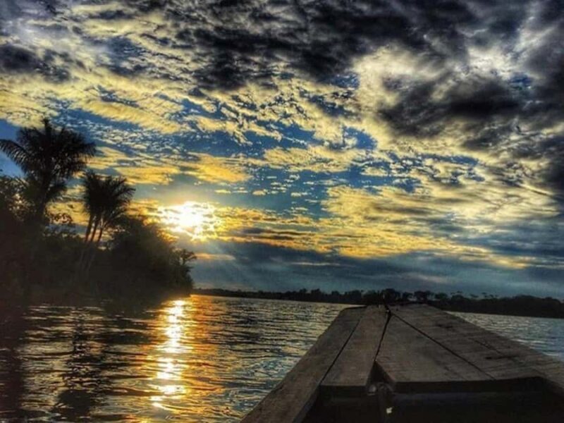 From Iquitos: Tour to the Amazon, Nanay and Momón rivers - An In-Depth Look at the Amazon River Tour from Iquitos