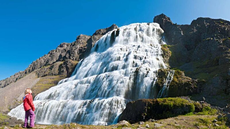 From Isafjordur: Private Dynjandi Waterfall & Farm Tour - Exploring the Westfjords: An In-Depth Look at the Tour