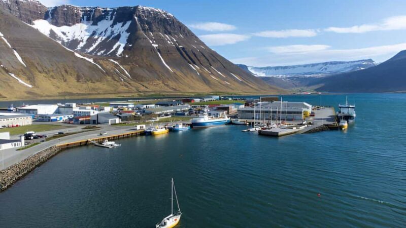 From Isafjordur: Private Dynjandi Waterfall & Farm Tour - Who Should Consider This Tour?