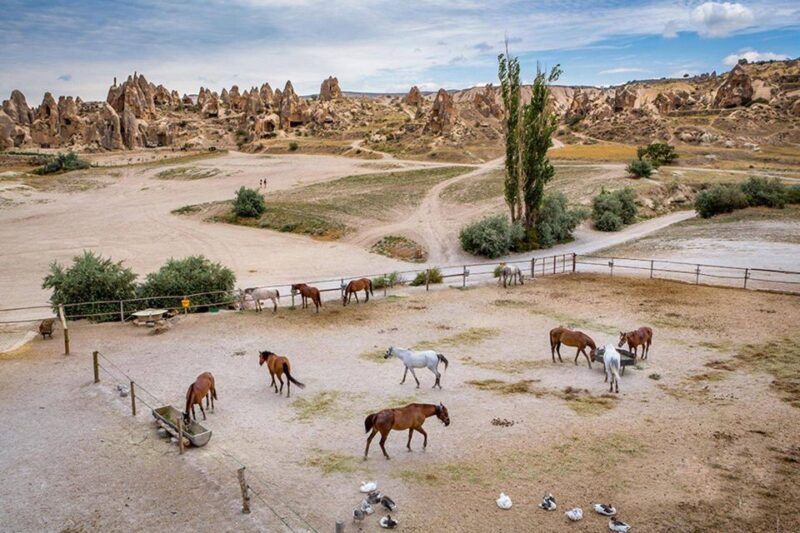 From Istanbul: Cappadocia, Ephesus, & Pamukkale Private Tour - Frequently Asked Questions