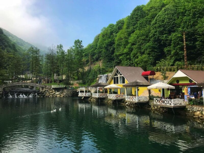 From Istanbul: Guided Day Trip to Sapanca and Masukiye - Detailed Review of the Tour Experience