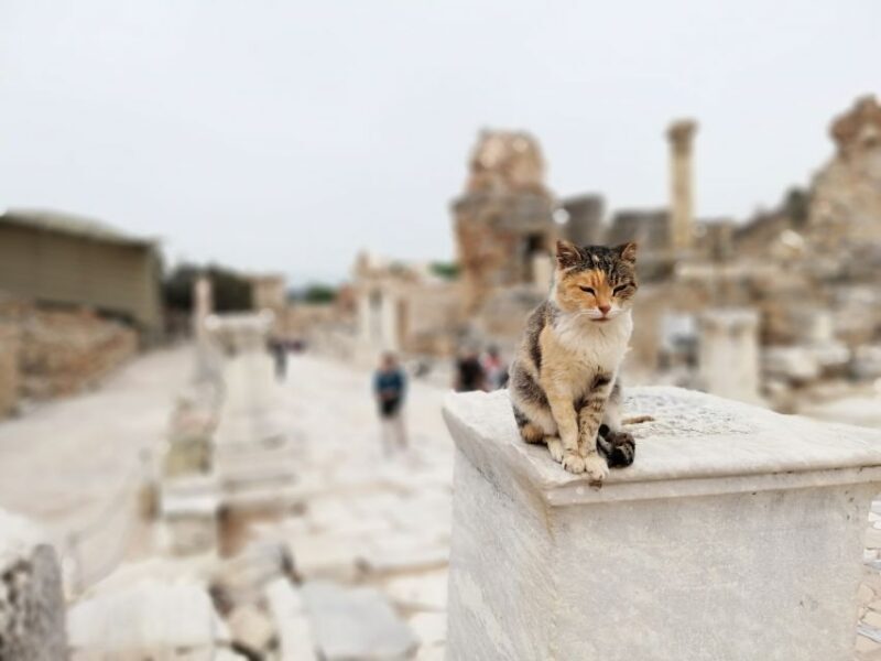From Istanbul: Private Guided Day Trip to Ephesus with Lunch - Final Thoughts
