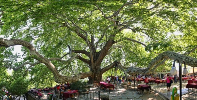 From Istanbul: Private Guided Tour to Bursa - Who Will Love This Tour?