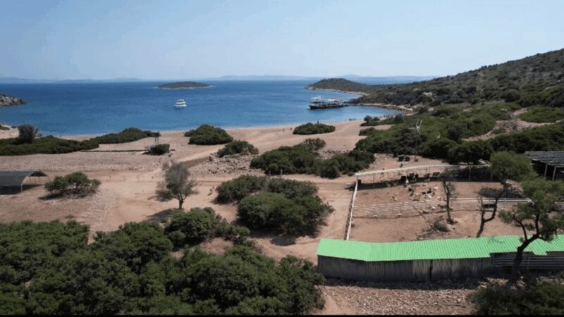 From Izmir: Full Day Boat Trip around Cesme with BBQ Lunch - Who Is This Tour Best For?