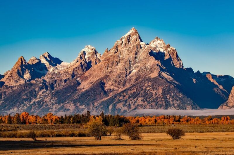 From Jackson: Half-Day Grand Teton National Park Tour - Key Points