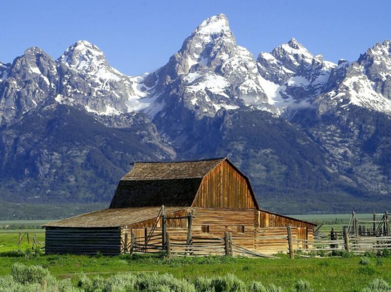 From Jackson: Half-Day Grand Teton National Park Tour - A Deep Dive into the Tour Experience