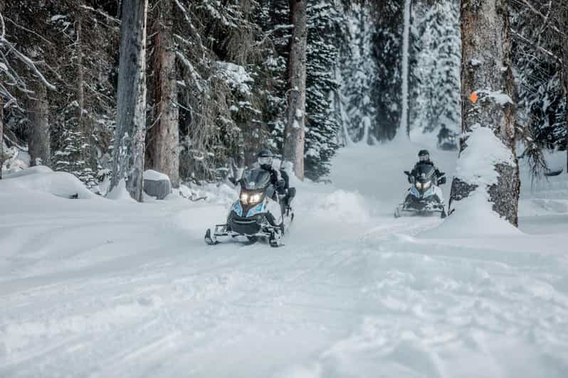 From Jackson: Yellowstone Grand Canyon Snowmobile Tour - Who Is This Tour Best For?