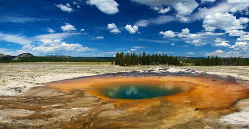 From Jackson: Yellowstone National Park Day Trip with Lunch - The Itinerary: What to Expect on This Yellowstone Day Trip