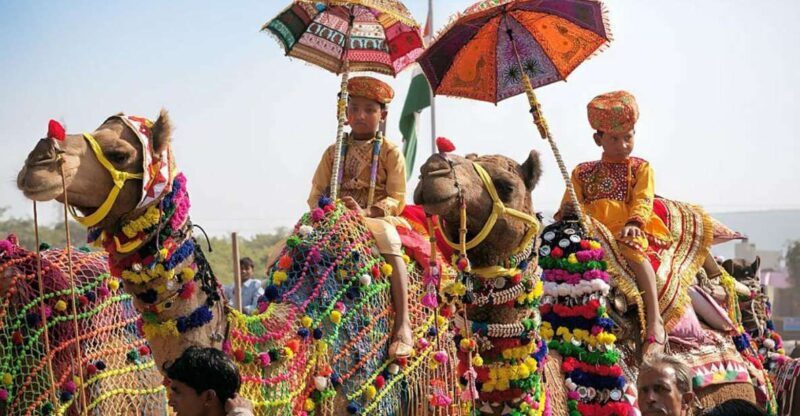 From Jaipur: One-Day Trip From Jaipur to Pushkar - Why This Tour Works Well