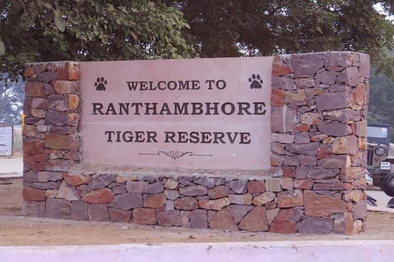 From Jaipur: Praivte Ranthambore Tour By Jeep Canter Safari - From Jaipur: Private Ranthambore Tour By Jeep Canter Safari