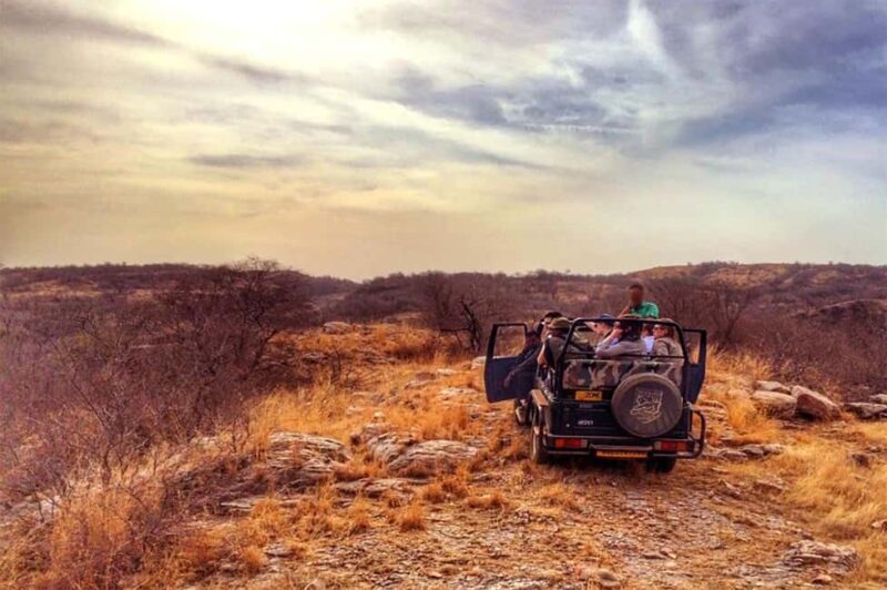 From Jaipur: Praivte Ranthambore Tour By Jeep Canter Safari - Arrival and Park Entry