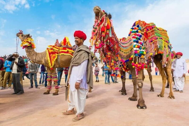 From Jaipur: Private Same Day Ajmer & Pushkar Day Trip - Key Points