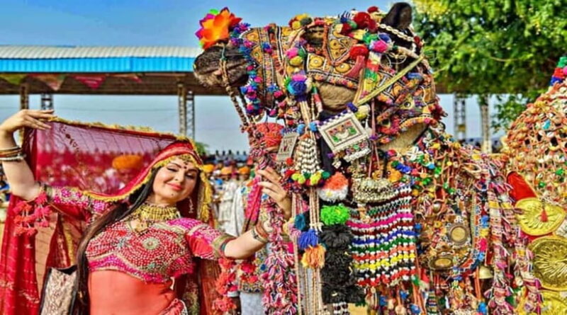 From Jaipur: Private Same Day Ajmer & Pushkar Day Trip - A Closer Look at the Tour Experience