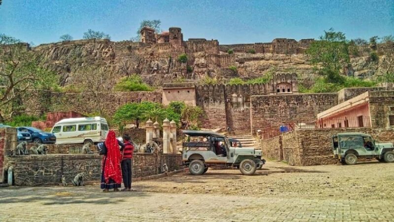 From Jaipur: Ranthambore National Park Day Tour with Safari - The Experience in Detail