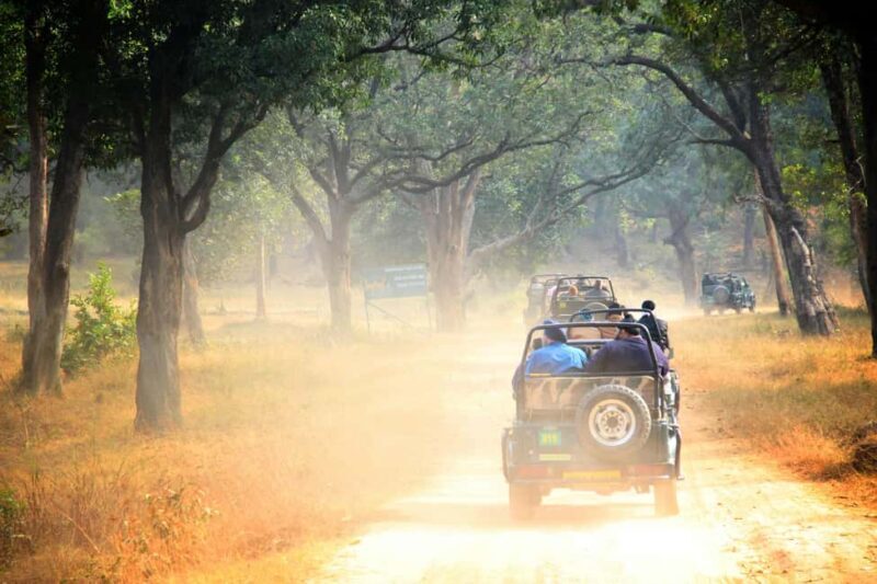 From Jaipur: Ranthambore National Park Day Trip with Safari - Practical Tips to Enhance Your Experience