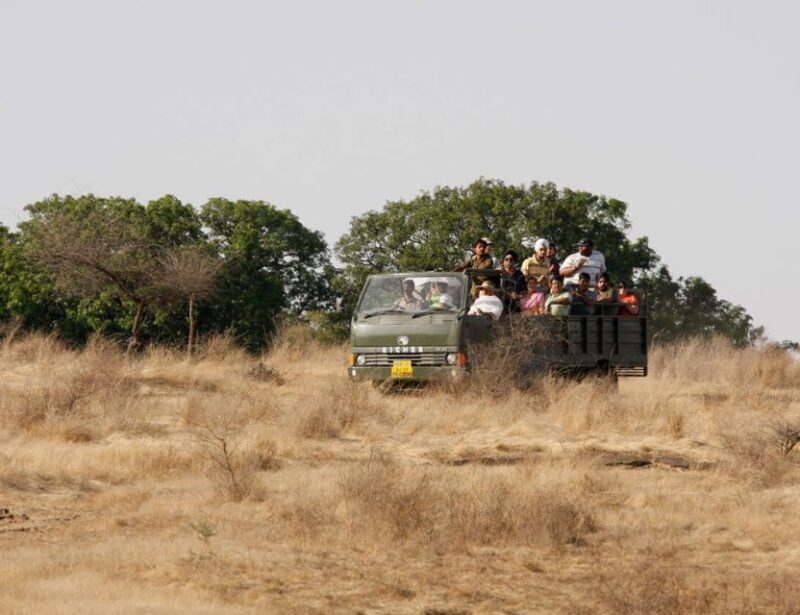 From Jaipur: Ranthambore Tour with Cab - A Detailed Look at the Ranthambore Day Trip