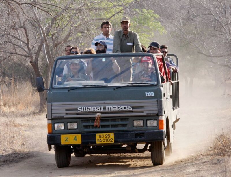From Jaipur: Ranthambore Tour with Cab - Final Thoughts: Who Should Consider This Tour?