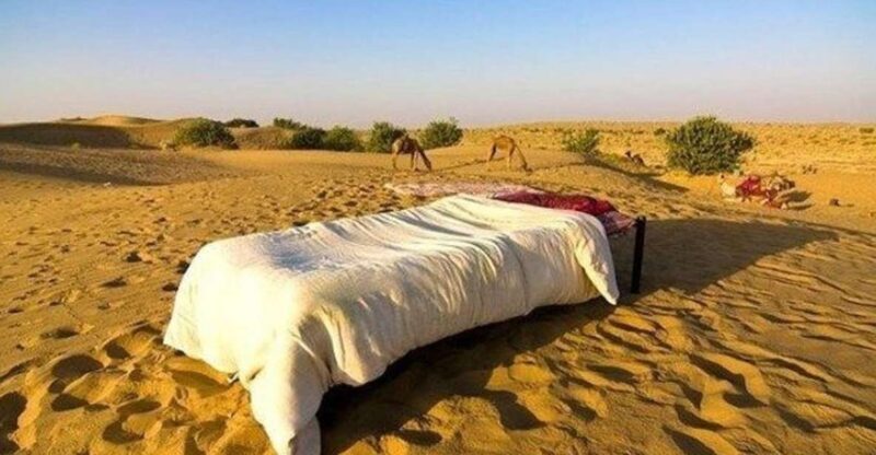 From Jaisalmer: Private Trip Under Stars with Camel Safari - From Jaisalmer: Private Trip Under Stars with Camel Safari – A Practical Guide to Rajasthan’s Desert Magic