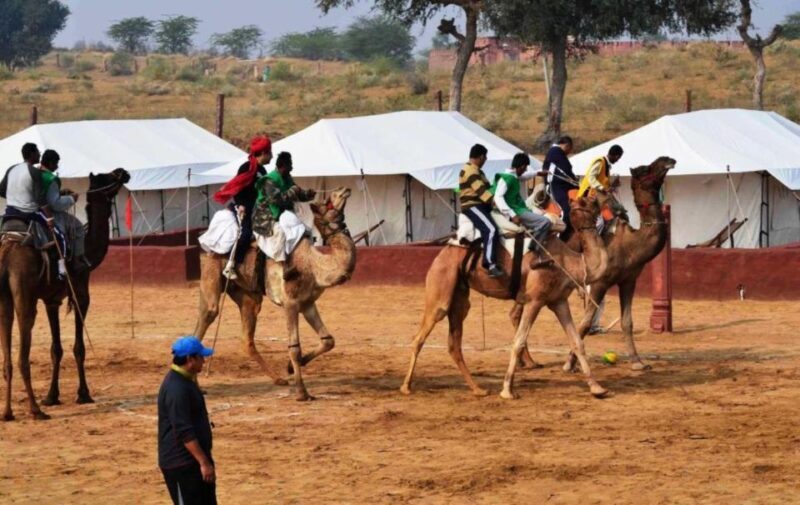 From Jaisalmer: Private Trip Under Stars with Camel Safari - Authenticity and Value