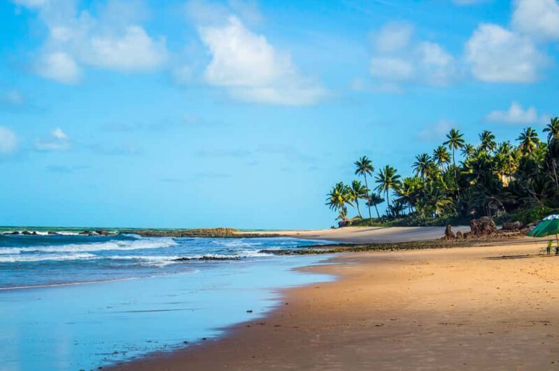 From João Pessoa: Full-Day Southern Coast Beaches Tour - Exploring the Itinerary in Detail