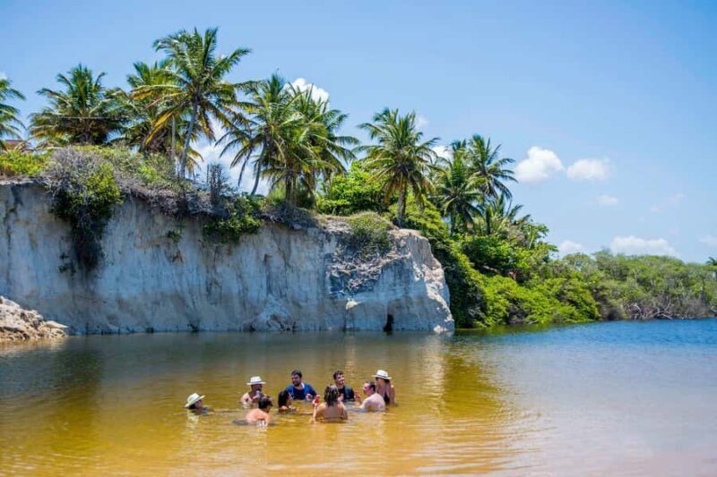 From João Pessoa: Full-Day Southern Coast Beaches Tour - Who Would Enjoy This Tour?