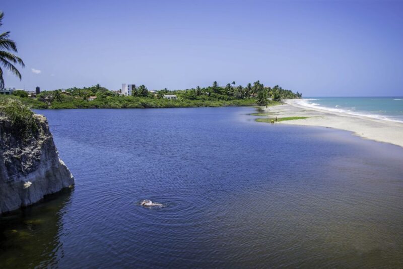 From João Pessoa: Full-Day Southern Coast Beaches Tour - The Sum Up