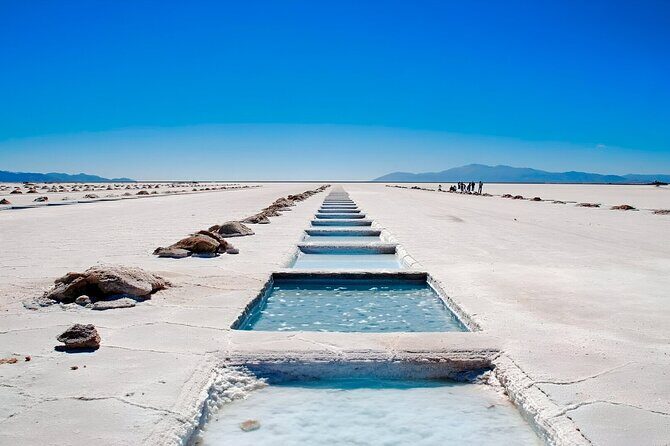 From Jujuy: Full-Day Tour to Salinas Grandes and Purmamarca - Key Points