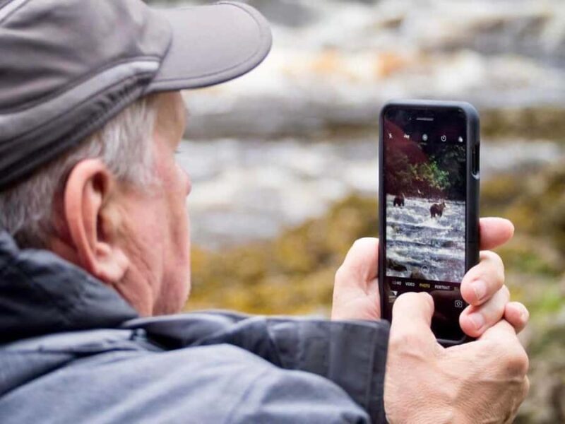 From Juneau: Bear Viewing on Chichagof Island - FAQ