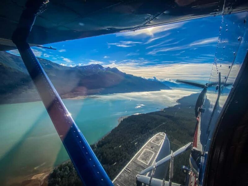 From Juneau: Exclusive Tongass Locally Guided Bear Viewing - Practicalities: What You Should Know Before Booking
