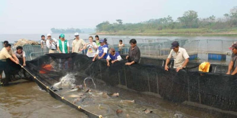 From Junín: Day trip to San Andrés - The Value of This Tour