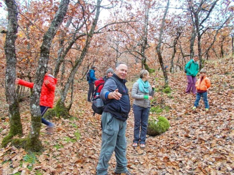 From Kalabaka: Authentic Meteora Hiking Tour - Local Agency - The Experience of the Guides and Transportation