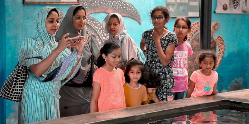 From Kalutara: Handungoda, Galle, and Kosgoda - Why This Tour Works for Travelers