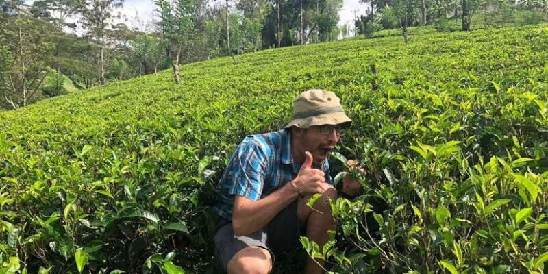 From Kalutara: Handungoda, Galle, and Kosgoda - FAQs