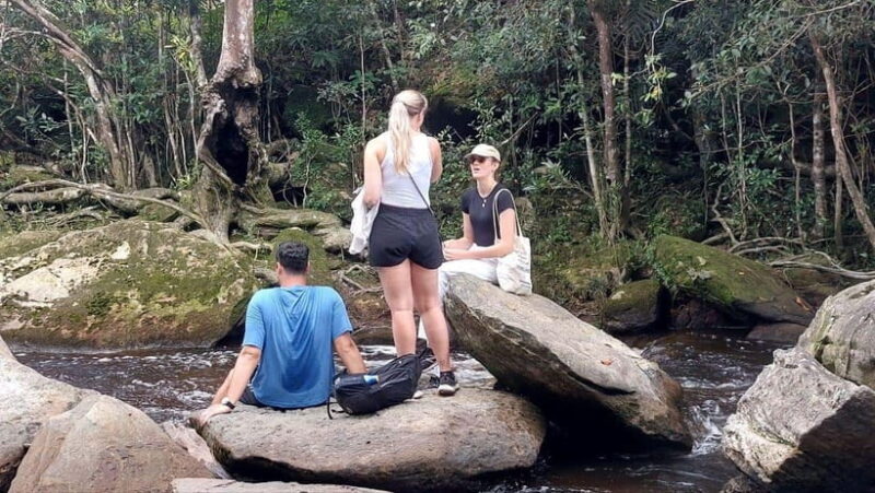 From Kampot: Bokor National Park Scenic Tour - From Kampot: Bokor National Park Scenic Tour — A Close-Up Look