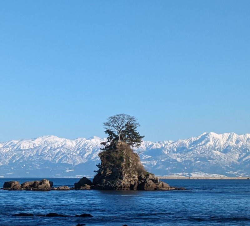 From Kanazawa: Amaharashi Coast, Big Buddha and Shokawa River Cruise - At a glance