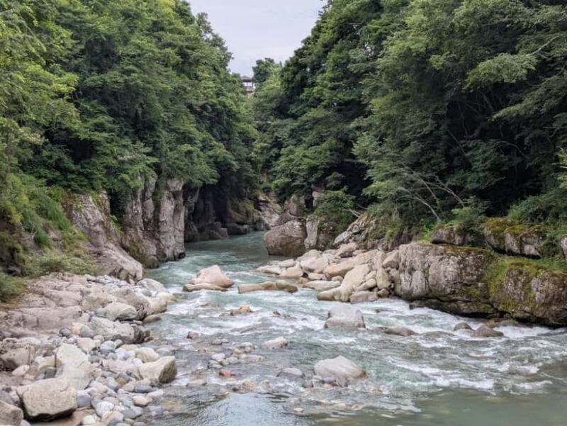 From Kanazawa: Hakusan White Road and Shirakawago Village - Key Points