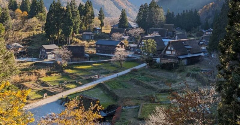From Kanazawa: Shirakawa-go, Gokayama and Wood Carving art - From Kanazawa: Shirakawa-go, Gokayama, and Wood Carving Art — A Deep Dive into Japan’s Heritage