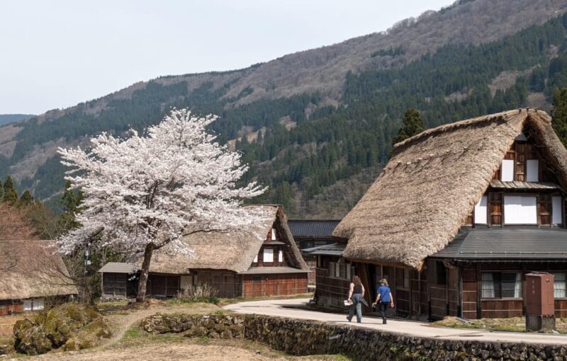 From Kanazawa: Shirakawa-go, Gokayama and Wood Carving art - Who Should Consider This Tour