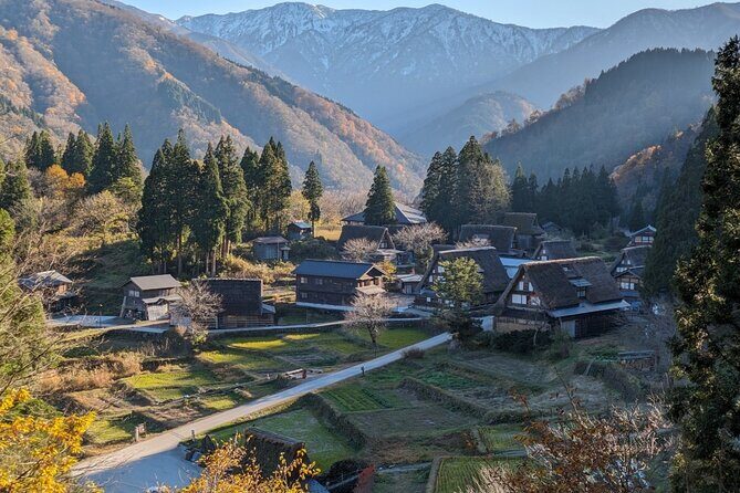 From Kanazawa: Shirakawa-go, Gokayama and Wood Carving Village - A Deep Dive into the Experience