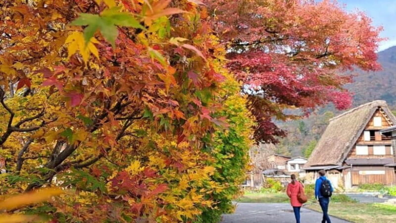 From Kanazawa/Takayama :Day Tour To Shirakawago & Takayama - Key Points