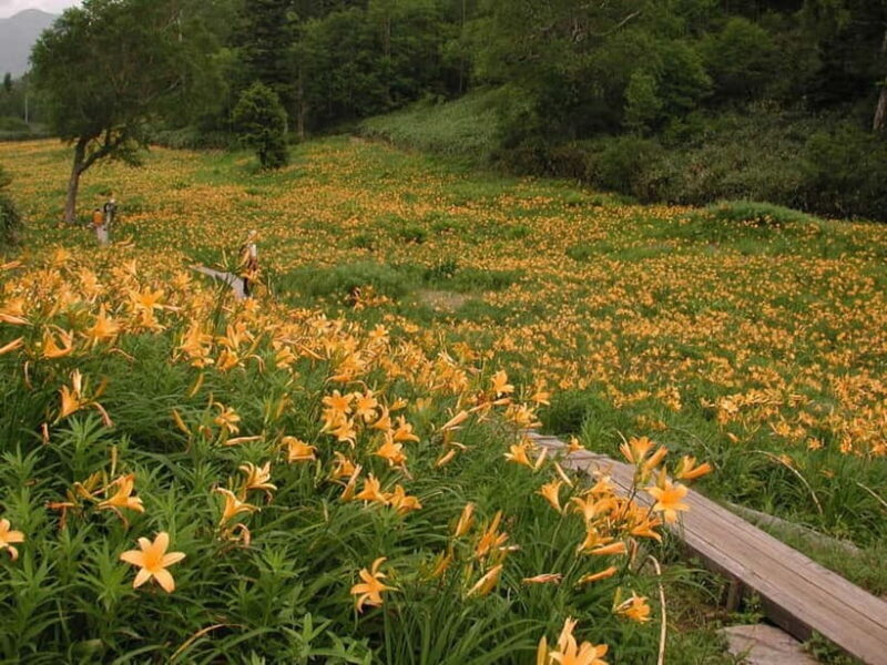 From Kanazawa: Tateyama Mountain Tour with Waterfall & Hike - The Full Journey: A Closer Look at the Tateyama Mountain Tour