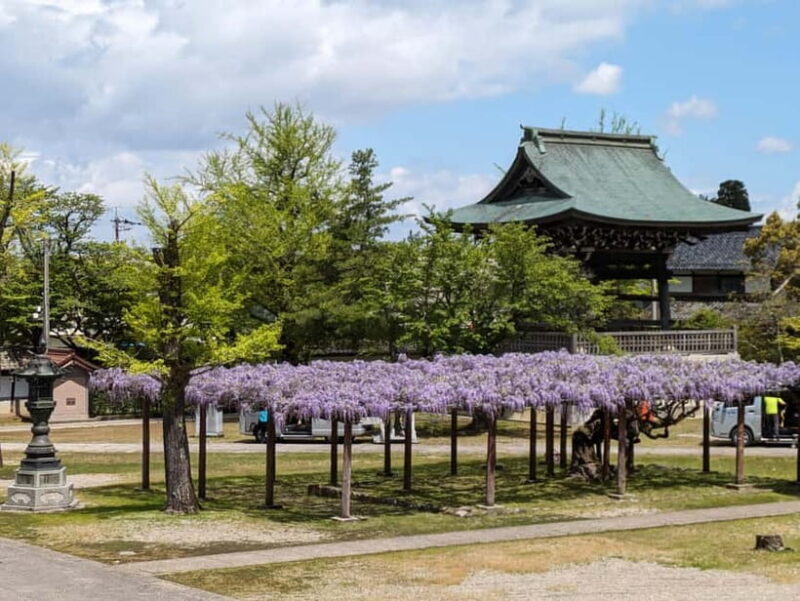 From Kanazawa: Tonami Tulip Festival and UNESCO Gokayama - Summary of Key Points