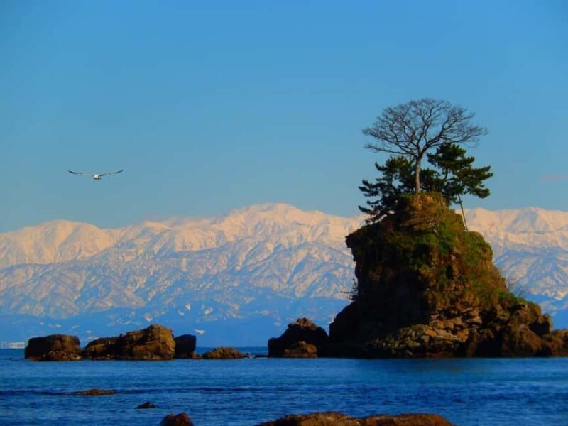 From Kanazawa: Toyama Bay and Shokawa River Cruise Day Trip - Exploring the Scenic Coastline of Amaharashi