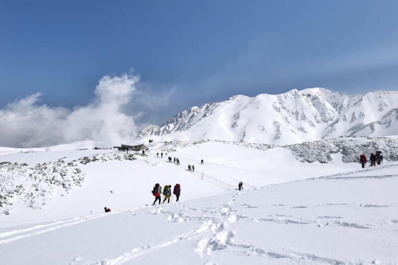 From Kanazawa/Toyama: Snow Wall & Mysterious Valley Day Tour - Why This Tour Is Worth It
