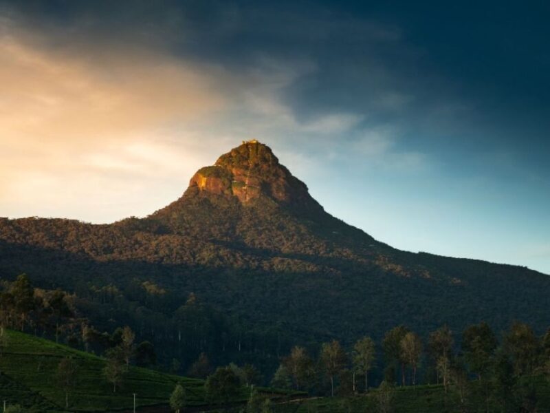 From Kandy: Adams Peak Trekking & Epic Guided Hike - The Sum Up: Who Will Love This Tour?