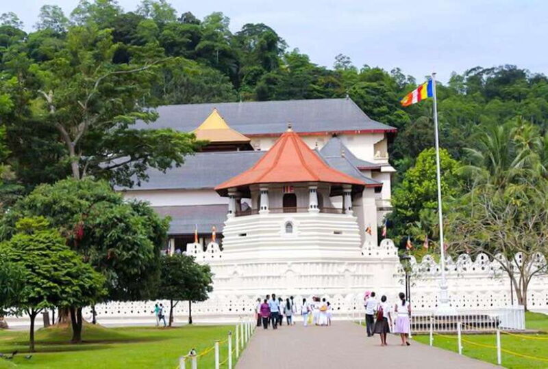 From Kandy: All Inclusive Full-Day Tour in Kandy - Private - The Practical Side: What to Expect