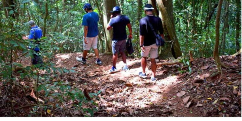 From Kandy: Bird watching tour to Udawatte Kele Sanctuary - Value and Who Will Love This Tour